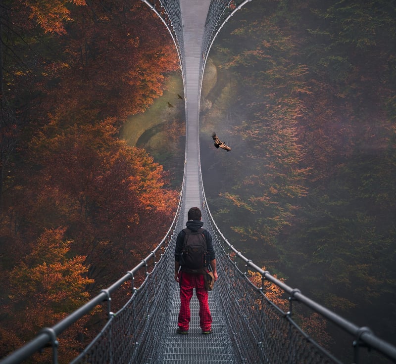 Suspenseful Journeys